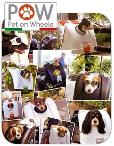 Trasportino per cani