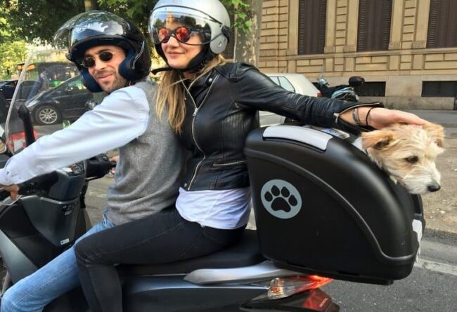 Il tuo cane sempre con te! Scopri Pow