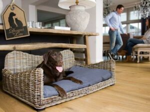 Accessori eleganti per cani e gatti