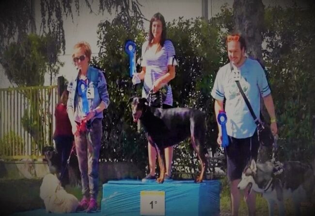 Zoolandia Reggio Emilia 2017