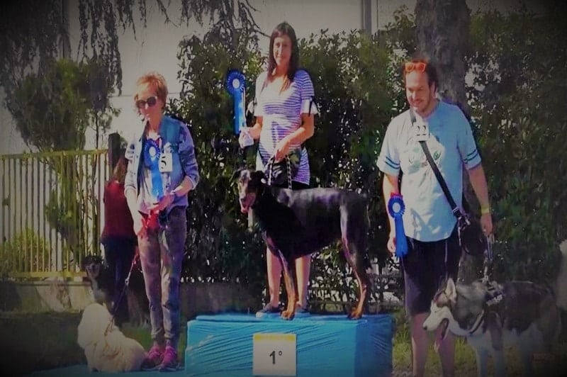 Zoolandia Reggio Emilia 2017