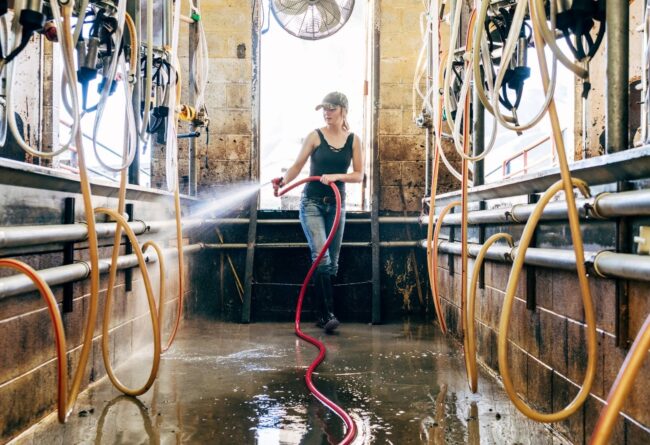 Biosicurezza in allevamento, pulizia e disinfezione