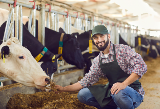 IOFC 2022 – è online la nuova rivista Tecnozoo