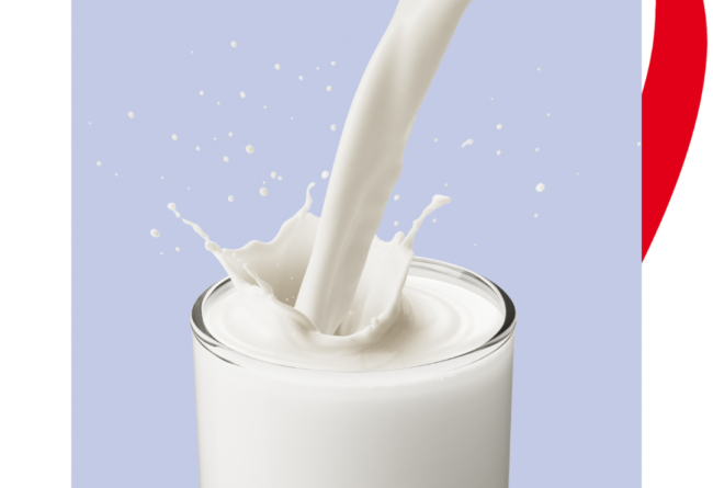 Perché il latte fa bene? 5 motivi per berlo