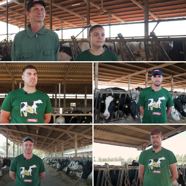 Aziende Agricole Arborea