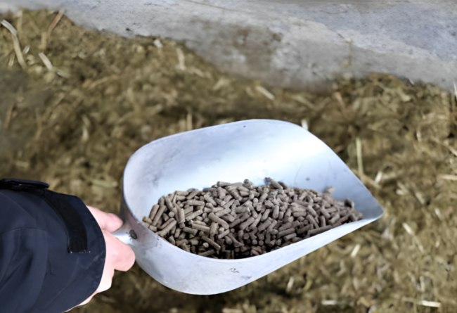 Occorre aggiungere calcio nelle razioni di close-up?