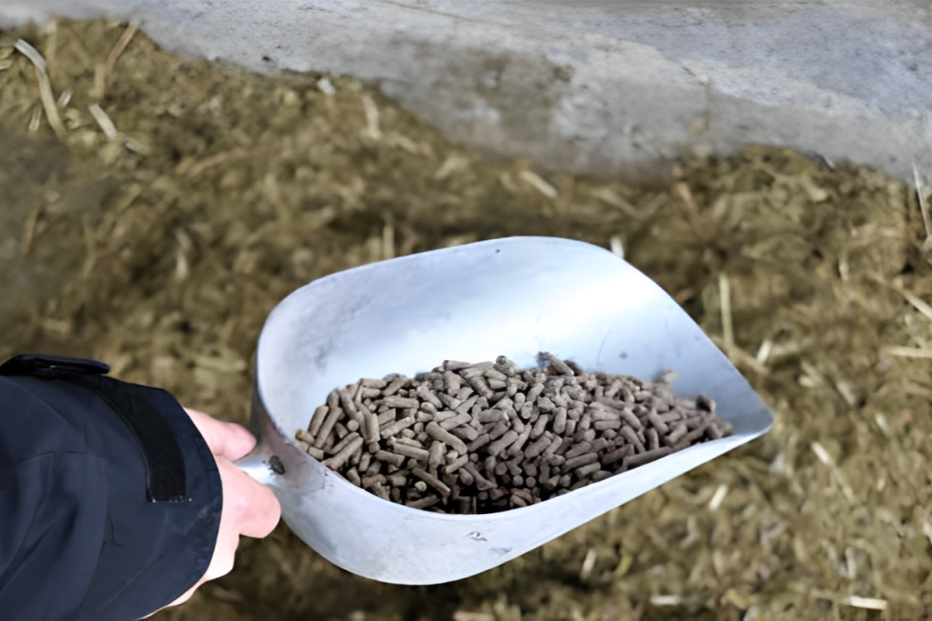 Occorre aggiungere calcio nelle razioni di close-up?