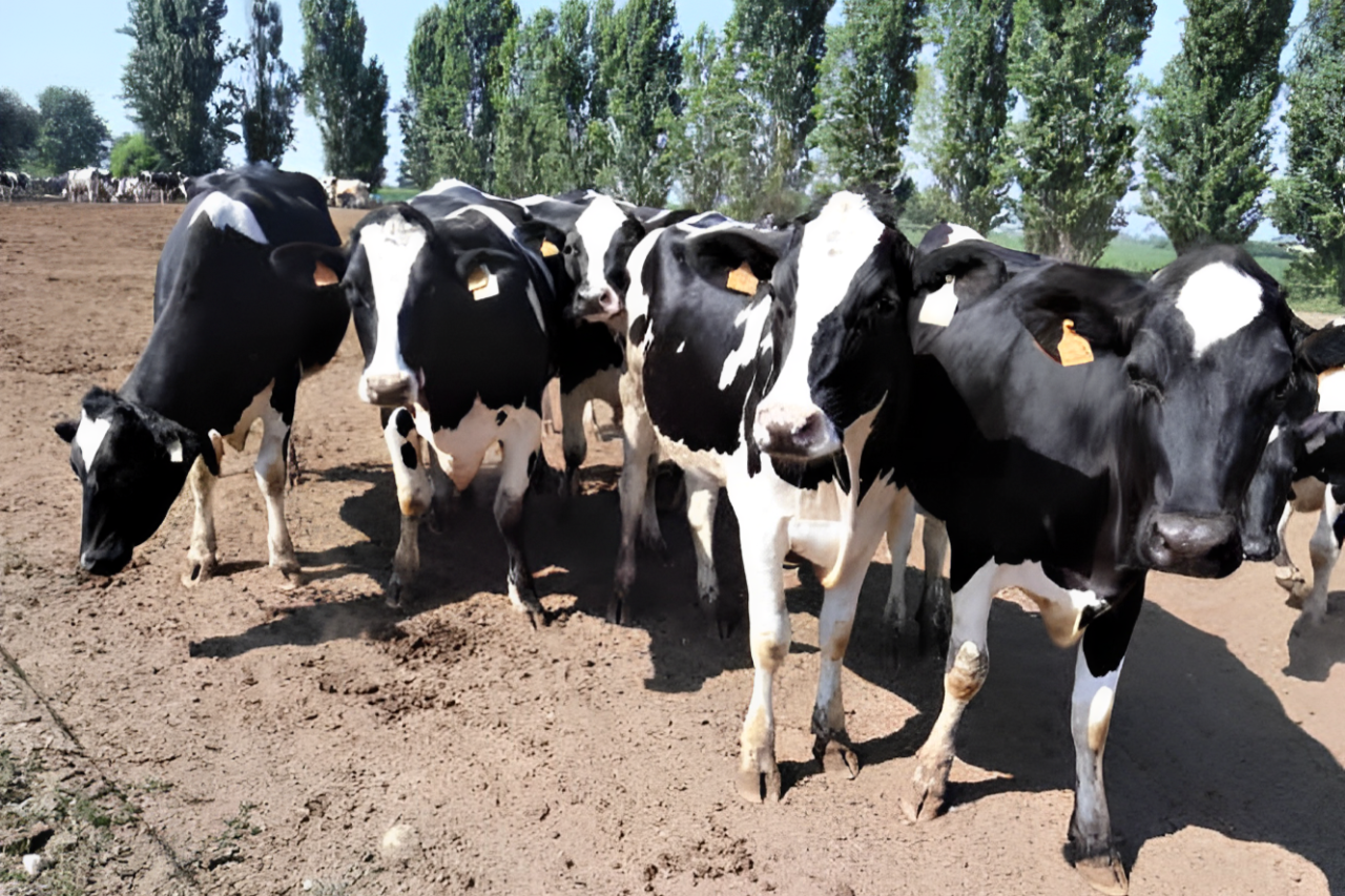 Porte aperte all’innovazione, ma lontani dalle mode