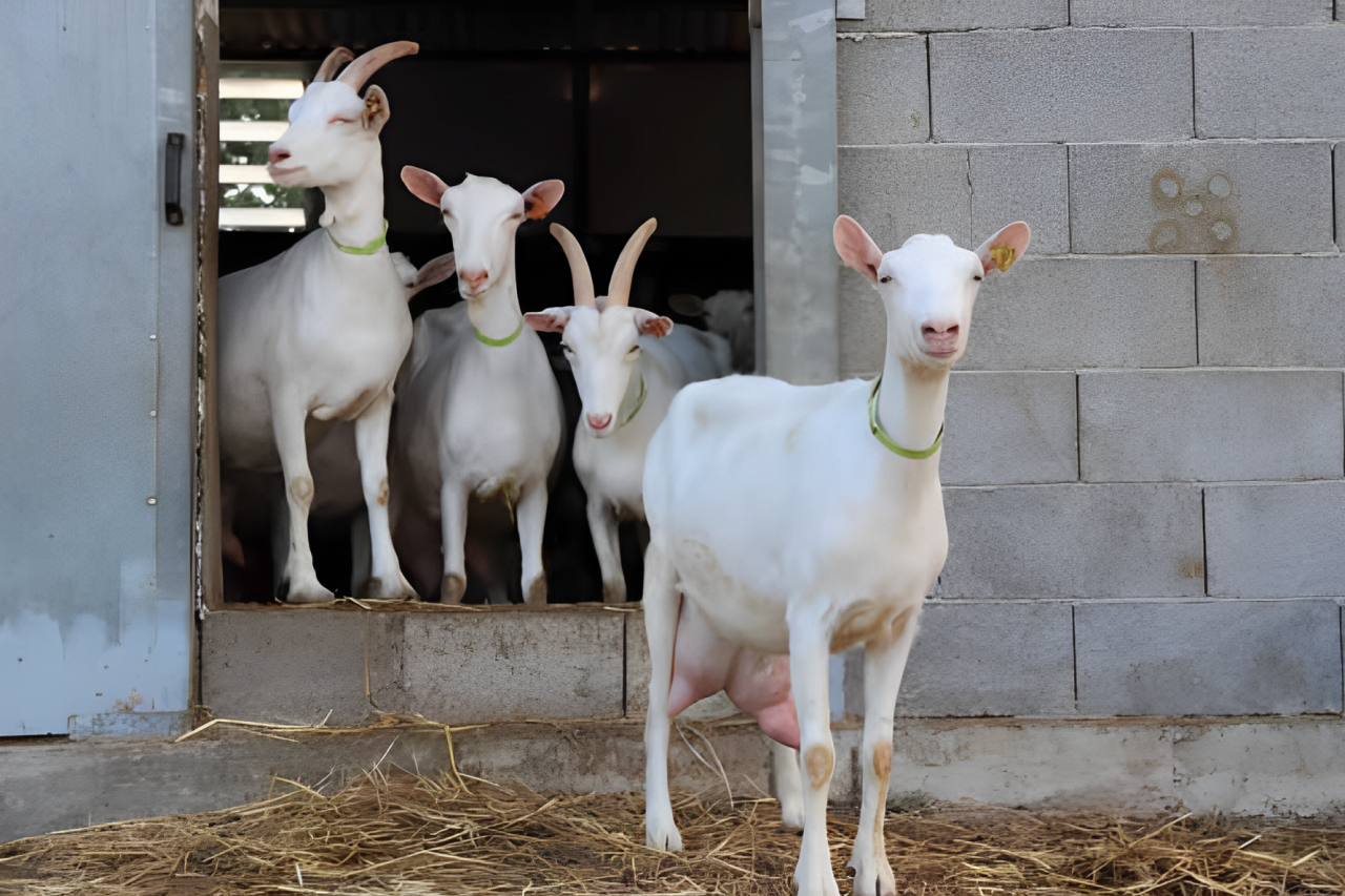 La piccola isola del sorriso