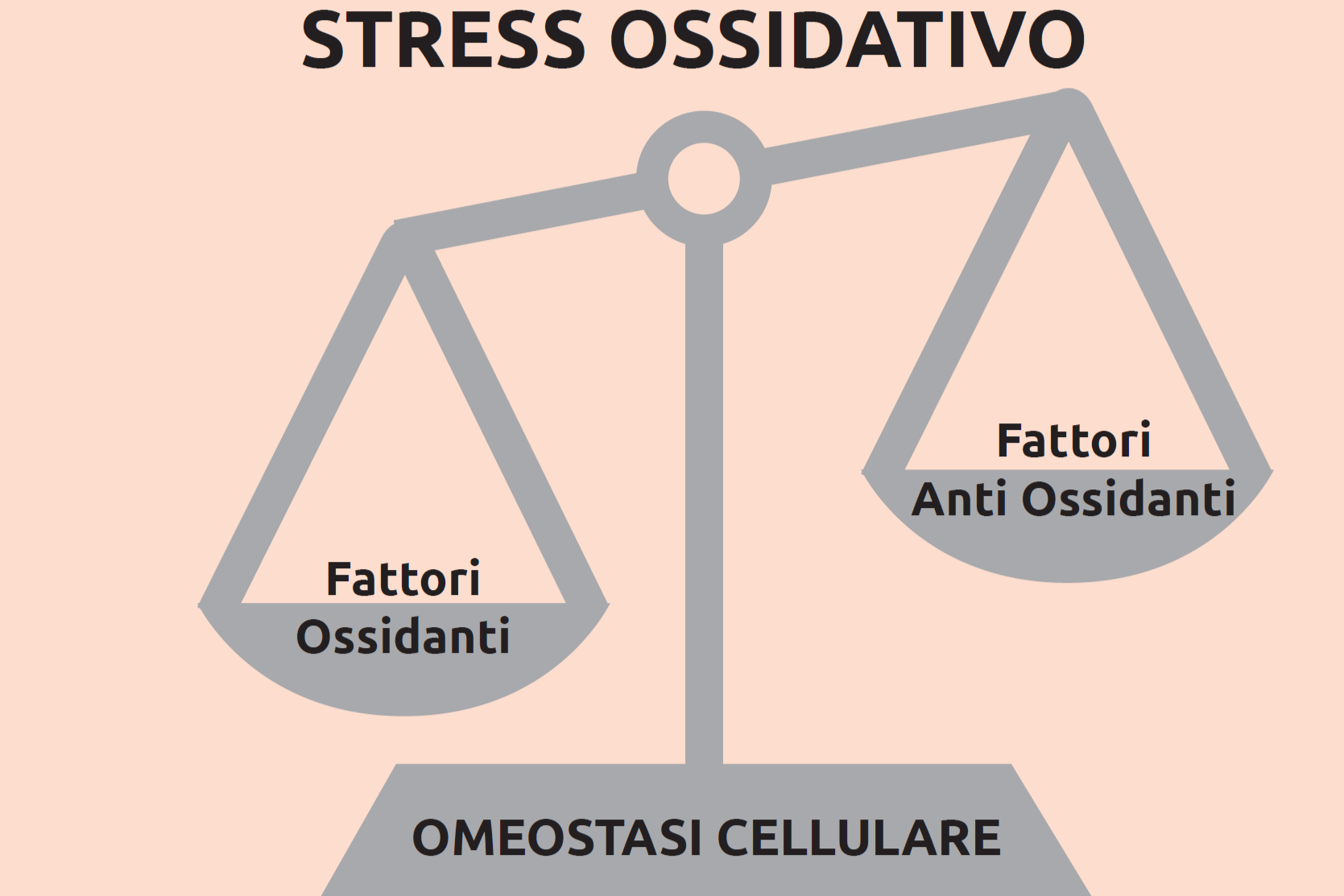Micronutrienti in transizione: oligoelementi e vitamine per contrastare lo stress ossidativo