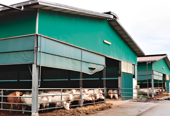 Performance e salute della mandria, ecco gli effetti della “cura Tecnozoo”