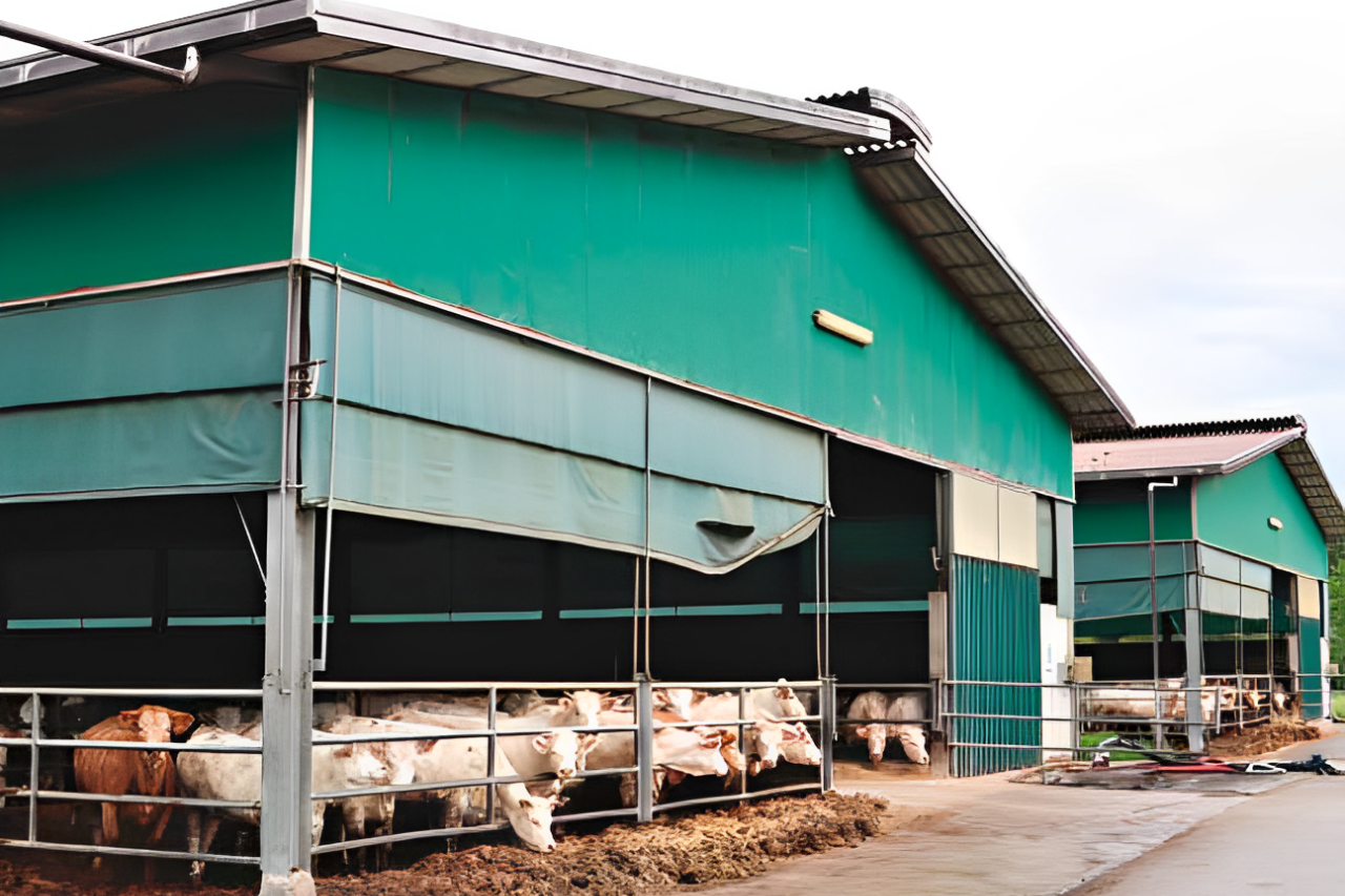 Performance e salute della mandria, ecco gli effetti della “cura Tecnozoo”