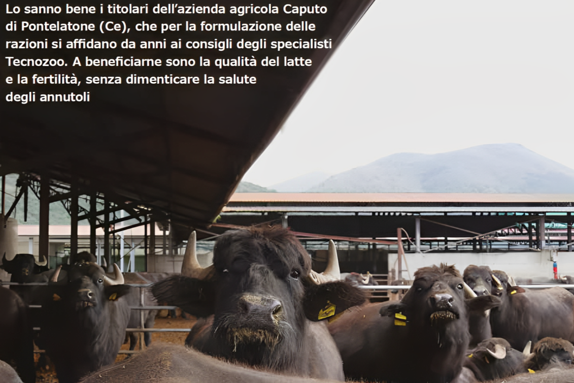 Una corretta integrazione è utile anche alle bufale