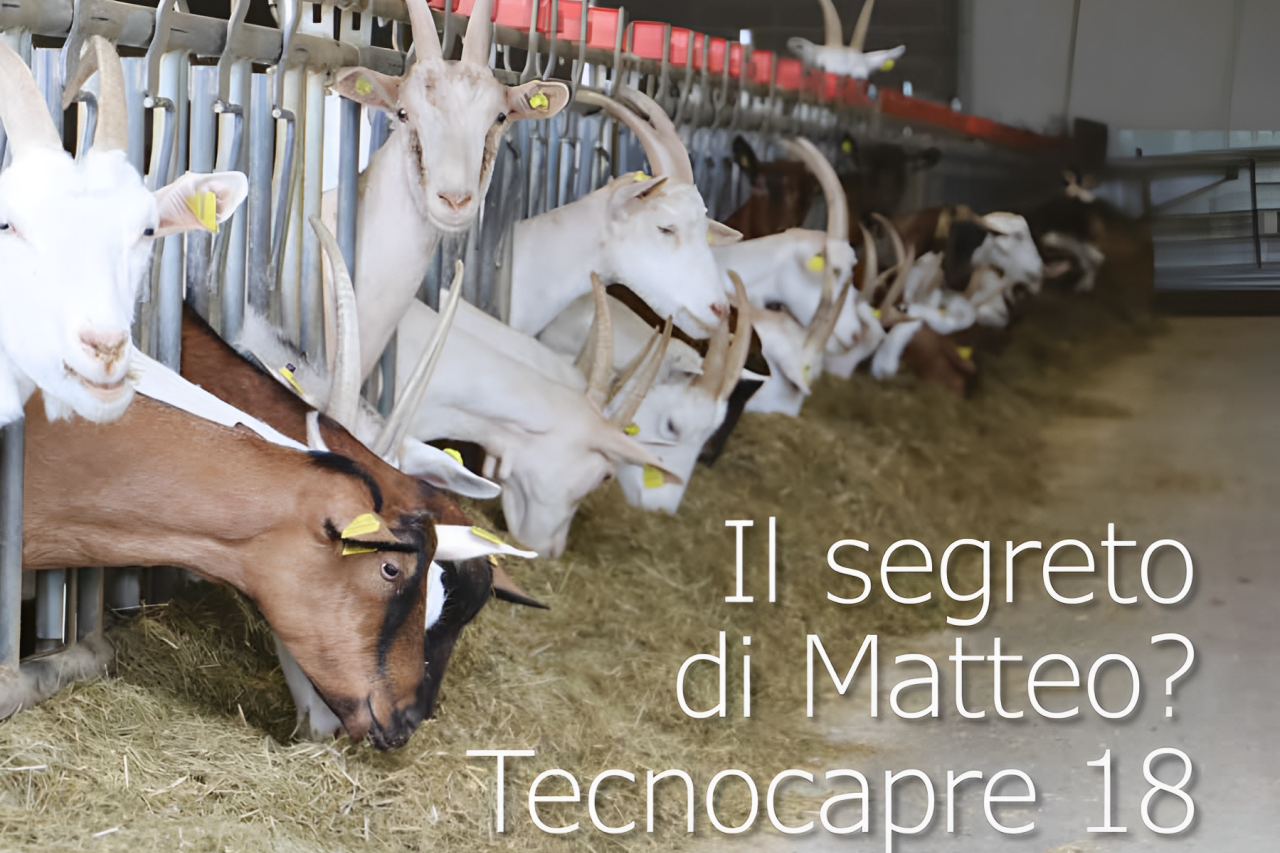 Il segreto di Matteo? Tecnocapre 18
