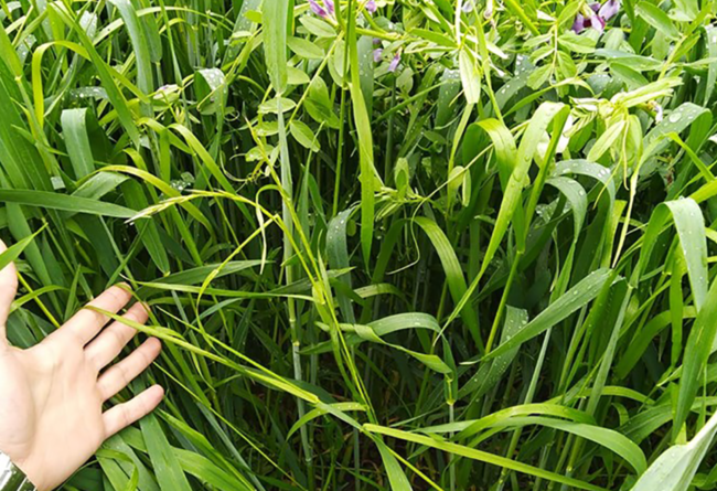 PIANO COLTURALE 2021-2022