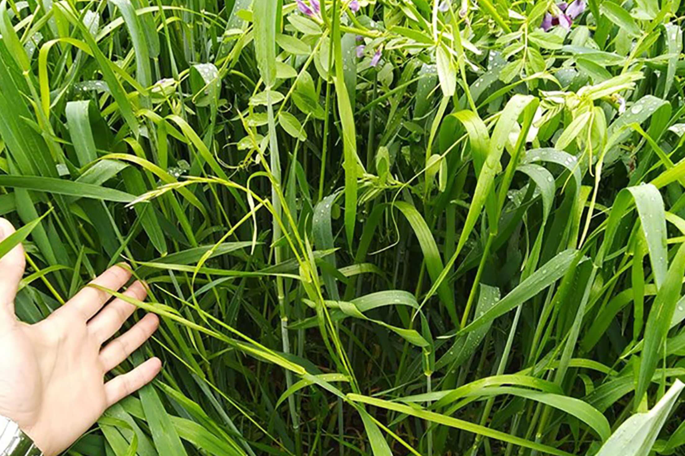 PIANO COLTURALE 2021-2022