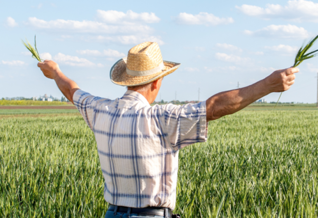 Sementi autunno vernine