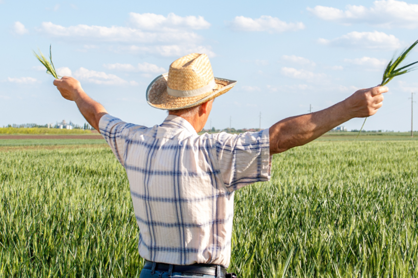 Sementi autunno vernine